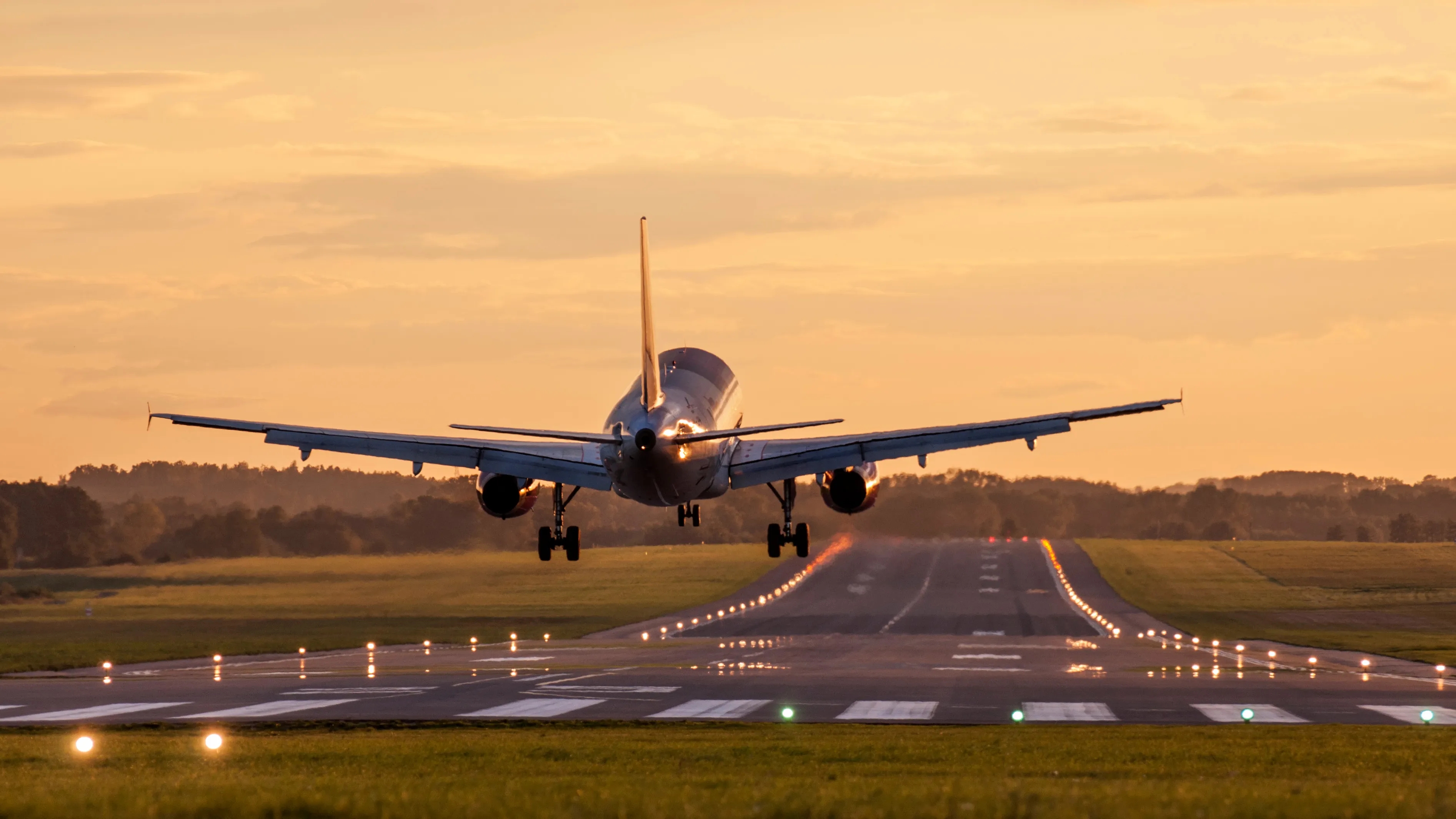 Flugzeug im Landeanflug