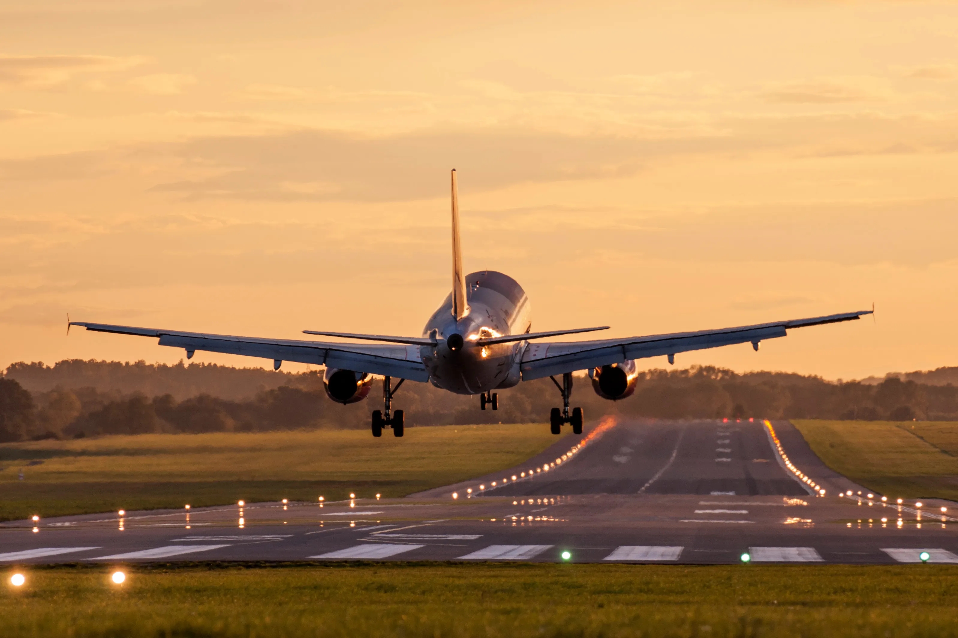 Flugzeug im Landeanflug