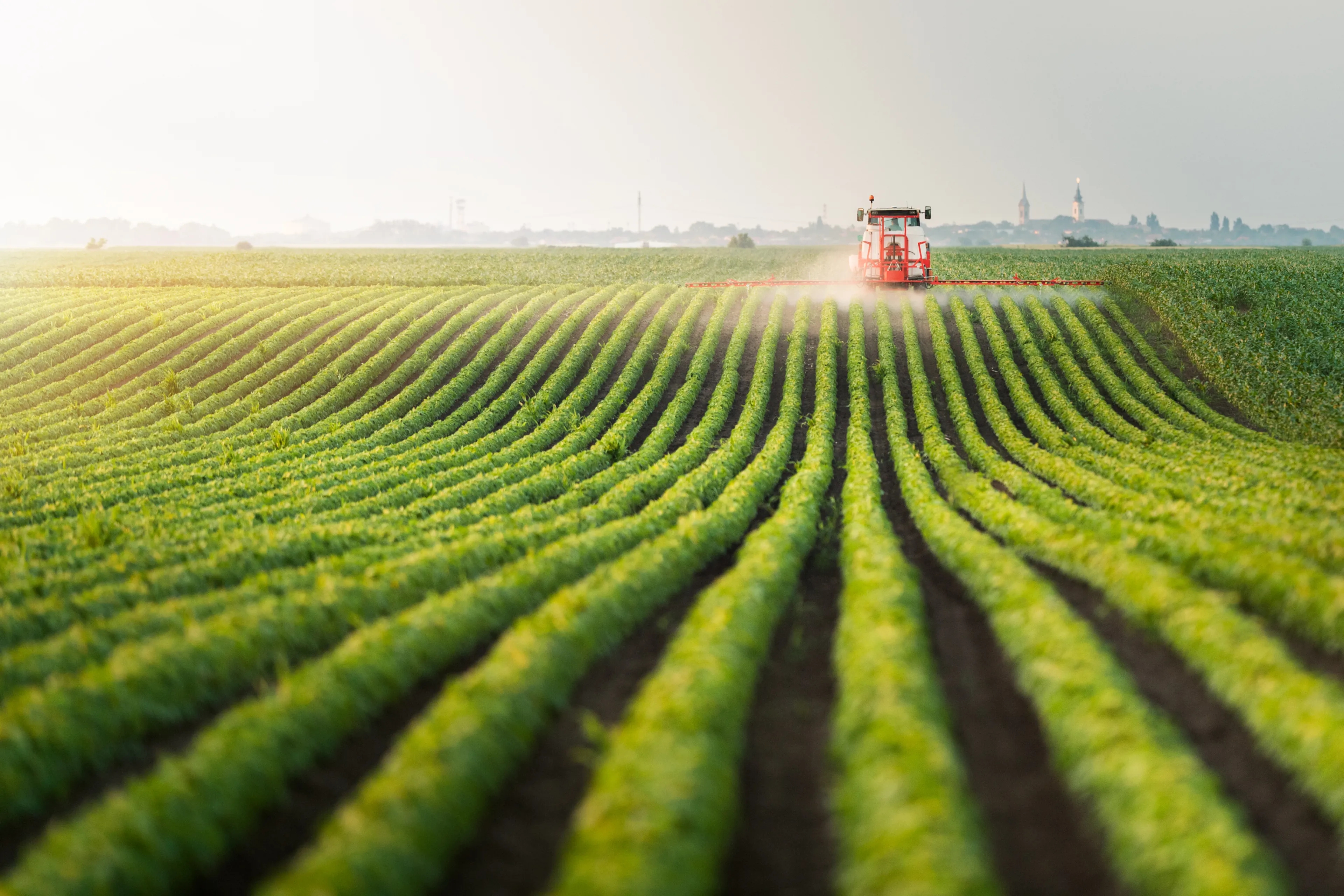 Traktor sprüht Pestizide auf Sojabohnenfeld