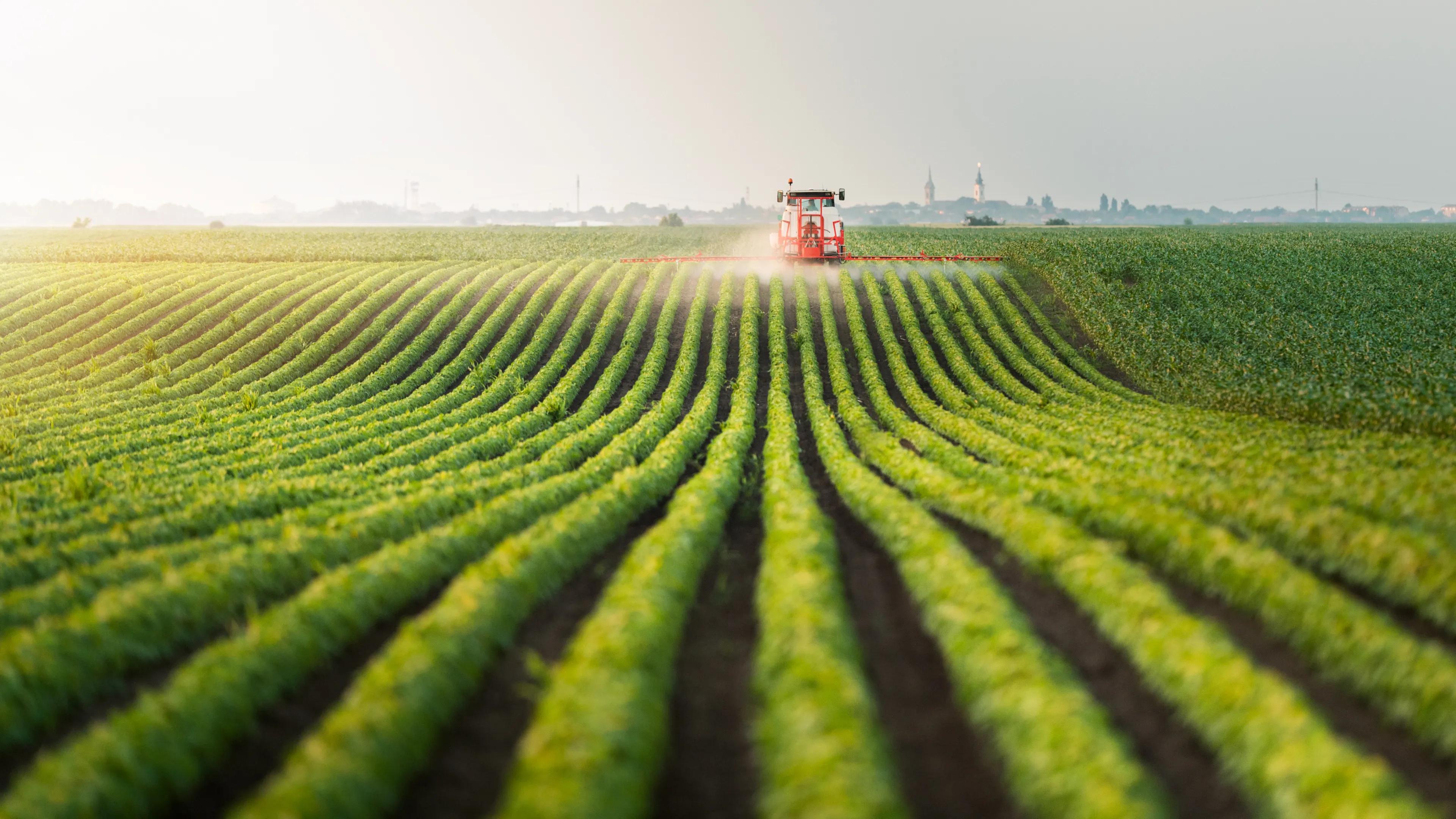 Traktor sprüht Pestizide auf Sojabohnenfeld