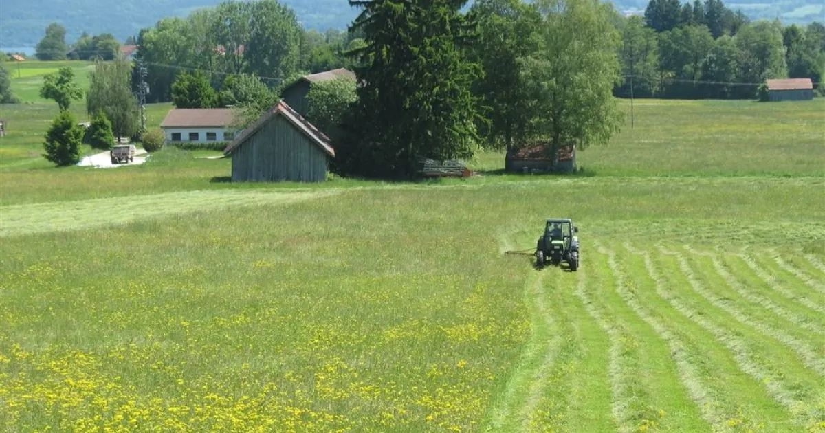 Violation of environmental law: ECJ ruling against Germany